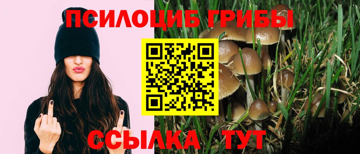 Псилоцибиновые грибы Psilocybine cubensis  Галлюциногенные грибы GOLDEN TEACHER  Вход с VPN  Касимов 